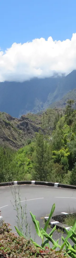 Gute Fahrkünste sind von Vorteil